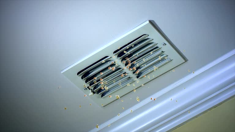HVAC System Cleaning in NC