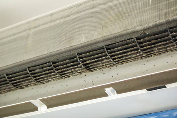 Best Home Air Vent Cleaning  in Greensboro, NC